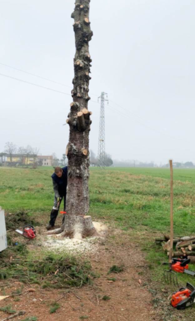 Manutenzione del Verde