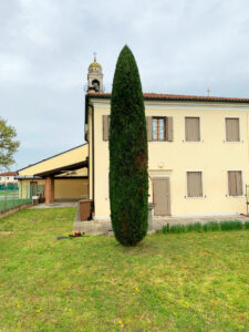 Manutenzione del Verde