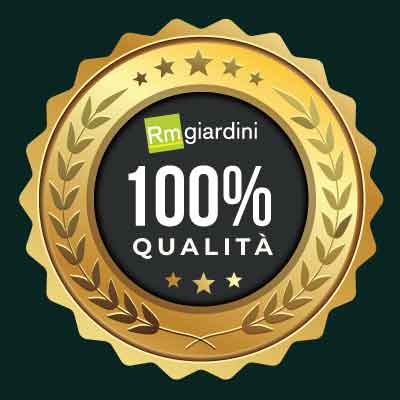qualita rm giardini veggiano Home