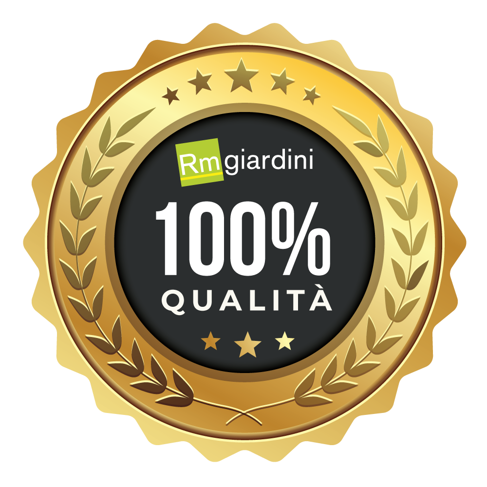 qualita Home