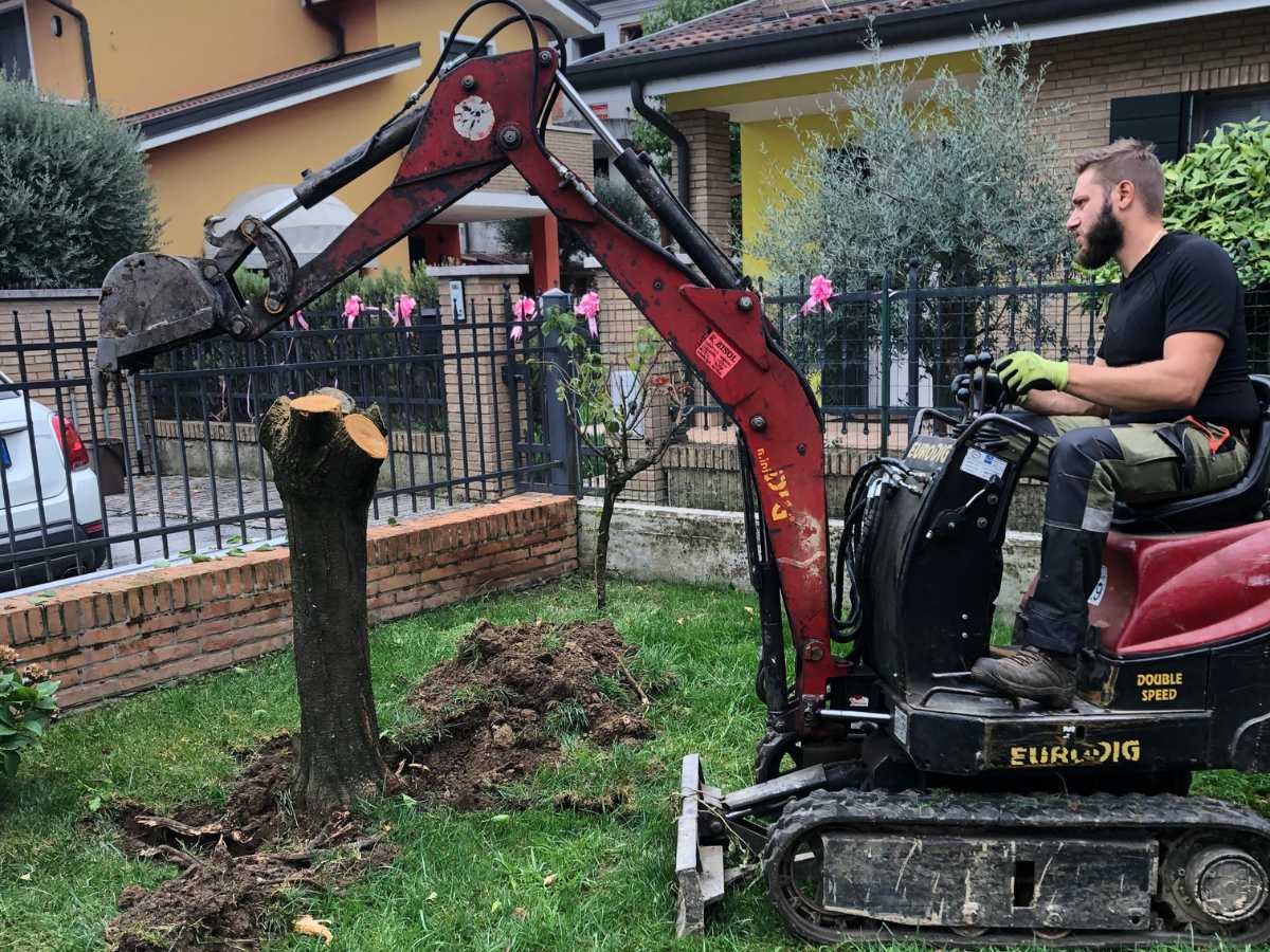 Rimozione Alberi Padova Rimozione Alberi Padova