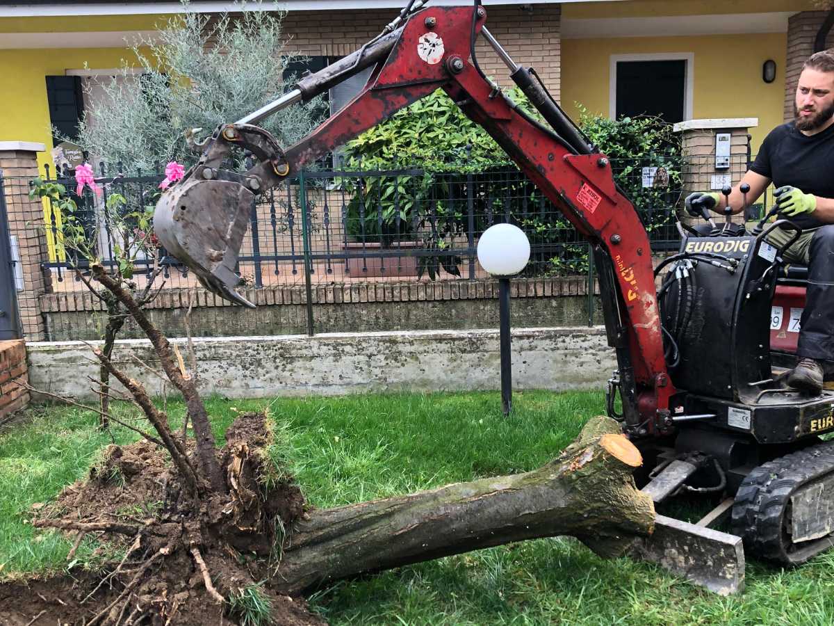 Rimozione Alberi Padova Piccoli Scavi per Giardini Padova e Vicenza