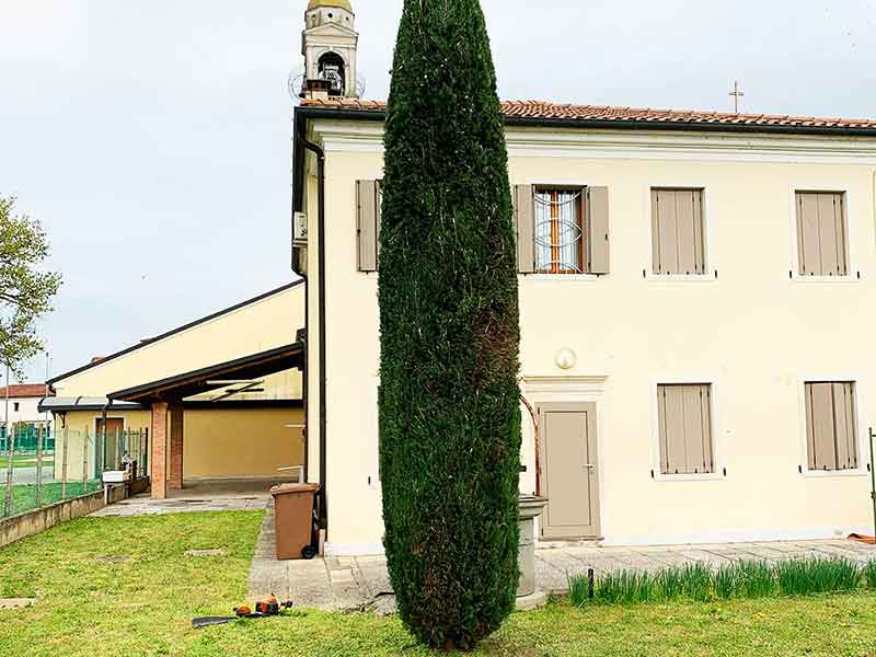 Potatura Alberi Rubano Padova Home