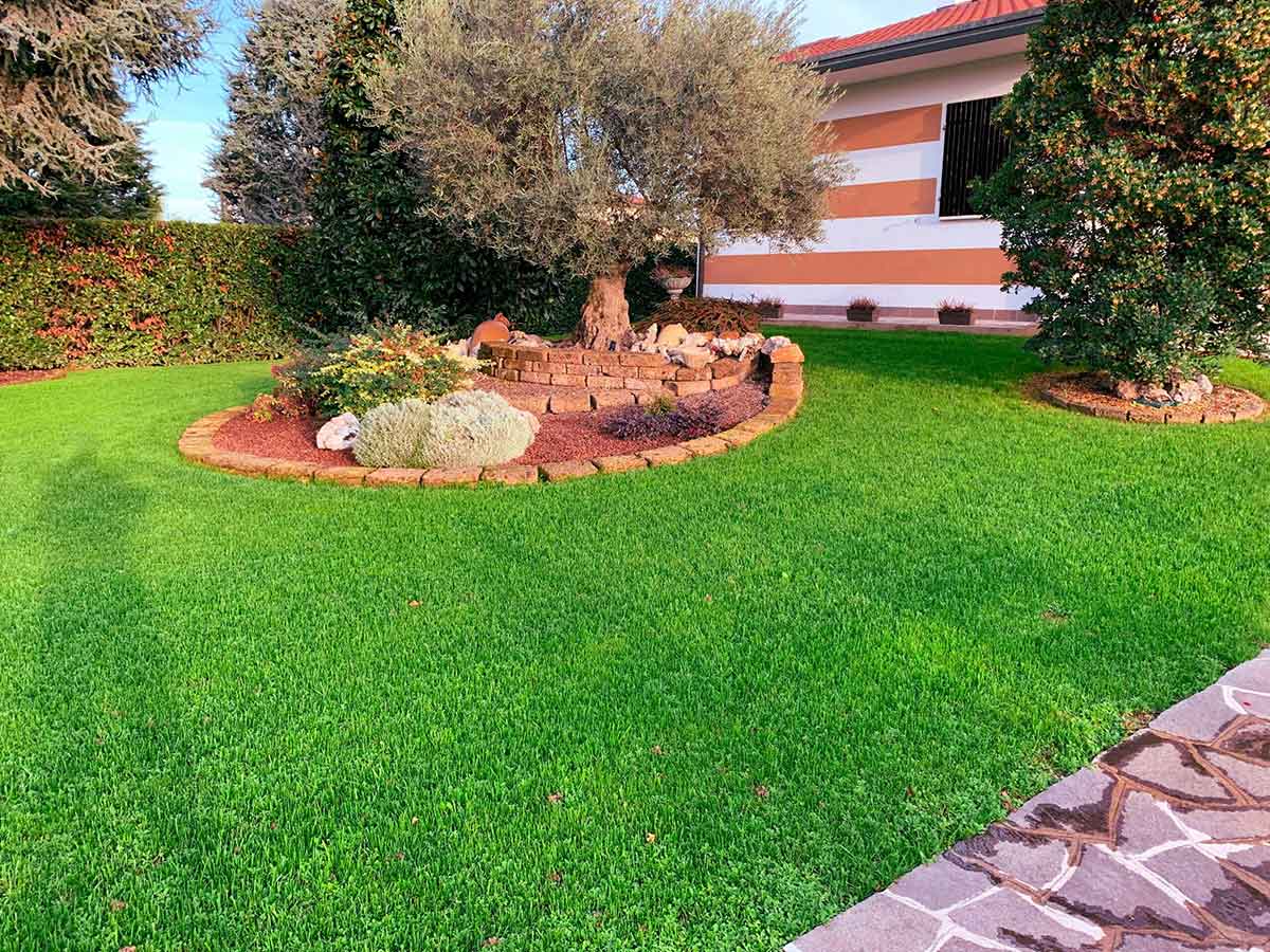 Realizzazione e Manutenzione aiuole Mestrino Rubano Home